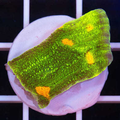 Space Invader Chalice