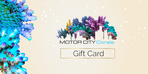 Motor City Corals Gift Card